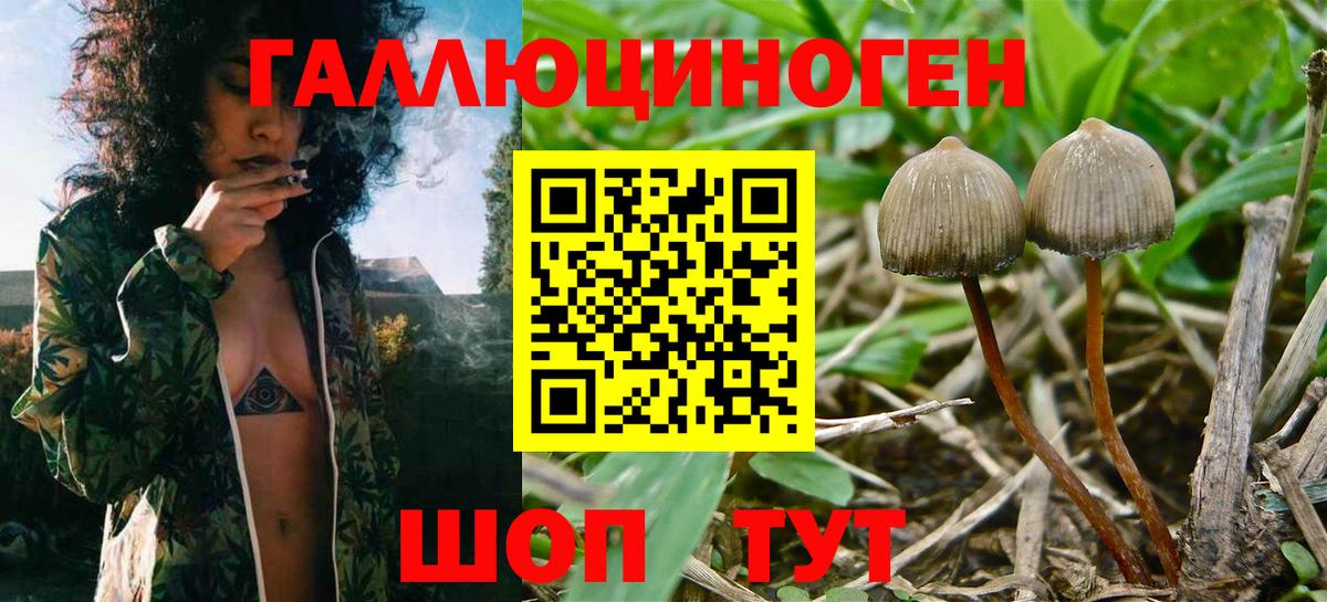 Галлюциногенные грибы ЛСД Топки