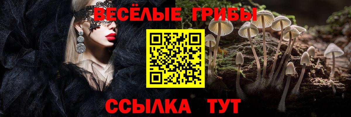 Псилоцибиновые грибы GOLDEN TEACHER  Вход с VPN  Псилоцибиновые грибы ЛСД  Топки 